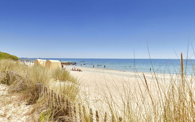 Le Colvert - Photo 31